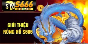 Giới thiệu rồng hổ S666