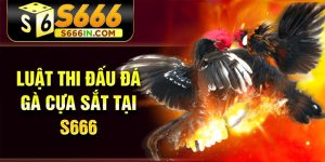 Luật thi đấu đá gà cựa sắt tại S666