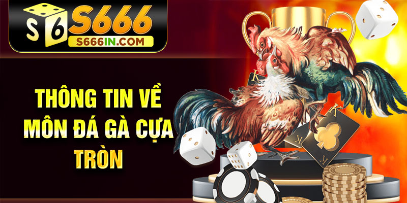 Thông tin về môn đá gà cựa tròn Thông tin về môn đá gà cựa tròn