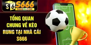 Tổng quan chung về kèo rung tại nhà cái S666 