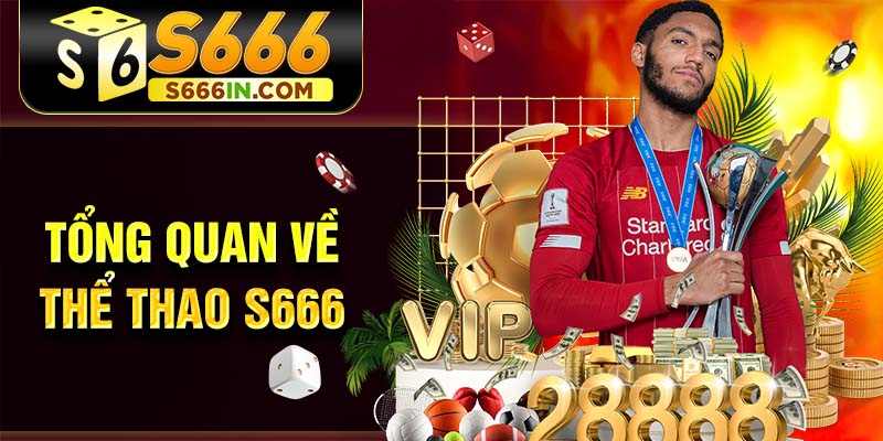 Tổng quan về thể thao S666 Tổng quan về thể thao S666