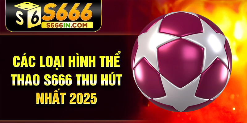Các loại hình thể thao S666 thu hút nhất 2025 Các loại hình thể thao S666 thu hút nhất 2025