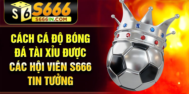 Cách cá độ bóng đá tài xỉu được các hội viên S666 tin tưởng Cách cá độ bóng đá tài xỉu được các hội viên S666 tin tưởng