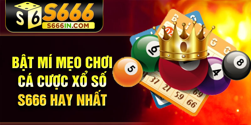 Bật mí mẹo chơi cá cược xổ số S666 hay nhất Bật mí mẹo chơi cá cược xổ số S666 hay nhất
