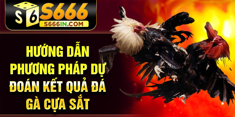 Hướng dẫn phương pháp dự đoán kết quả đá gà cựa sắt Hướng dẫn phương pháp dự đoán kết quả đá gà cựa sắt